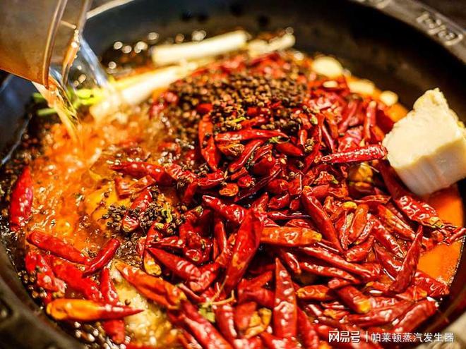 产过程中蒸汽发生器有哪些作用？麻将胡了2游戏入口火锅底料生(图3)